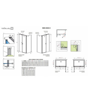 Двери Radaway Nes KDS II 10033100-01-01