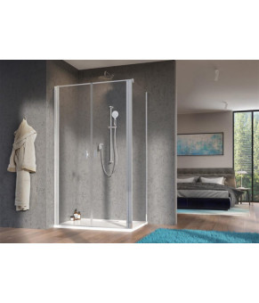 Двери Radaway Nes DWD S 10034120-01-01