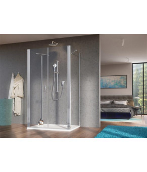 Двери Radaway Nes DWD 2S 10035100-01-01