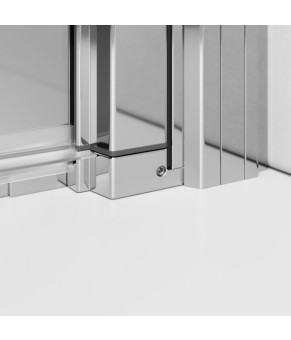 Двери Radaway Nes DWD 2S 10035110-01-01