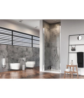 Душевые двери Radaway Nes DWJ I 10026100-01-01