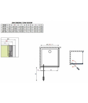 Душевая дверь Radaway Twist DW 382003-01