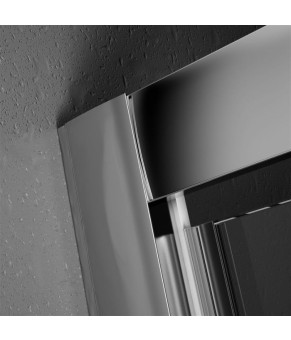 Душевая дверь Radaway Twist DW 382003-01