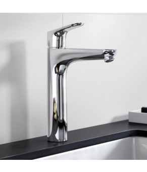 Смеситель Hansgrohe Focus 31532000
