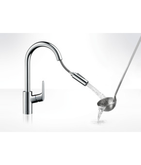 Смеситель Hansgrohe Focus 31815670