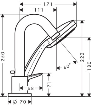 Смеситель Hansgrohe Logis 71313000