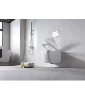Унитаз DUSEL CUBIS подвесной DWHT10201030R с сиденьем Soft Close дюропласт