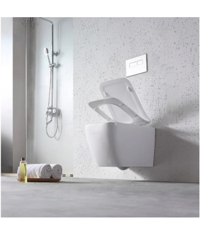 Унитаз DUSEL CUBIS подвесной DWHT10201030R с сиденьем Soft Close дюропласт