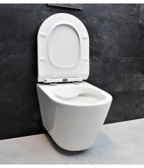 Унитаз DUSEL AREZ подвесной DWHT10210230R с сиденьем Soft Close дюропласт