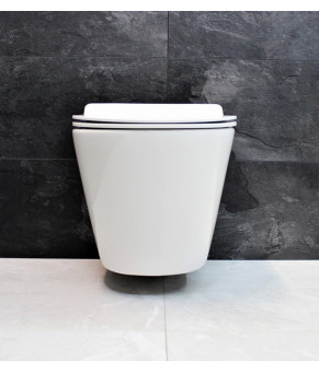 Унитаз DUSEL AREZ подвесной DWHT10210230R с сиденьем Soft Close дюропласт