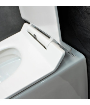 Унитаз DUSEL AREZ подвесной DWHT10210230R с сиденьем Soft Close дюропласт