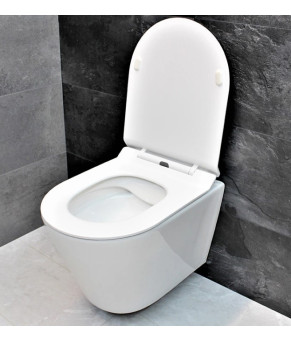 Унитаз DUSEL AREZ подвесной DWHT10210230R с сиденьем Soft Close дюропласт