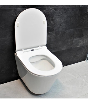 Унитаз DUSEL AREZ подвесной DWHT10210230R с сиденьем Soft Close дюропласт