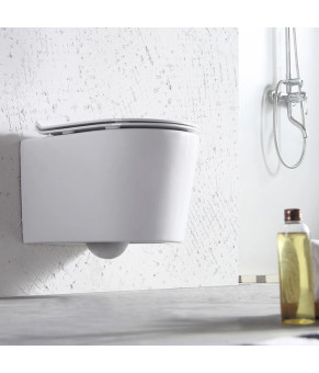 Унитаз DUSEL AREZ подвесной DWHT10210230R с сиденьем Soft Close дюропласт