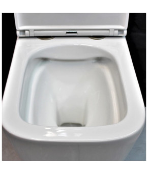 Унітаз DUSEL IVIA підвісний DWHT10210330R з сидінням Soft Close дюропласт