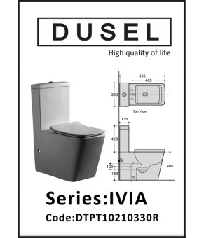 Унитаз-компакт DUSEL IVIA DTPT10210330R с бачком и сиденьем Soft Close дюропласт