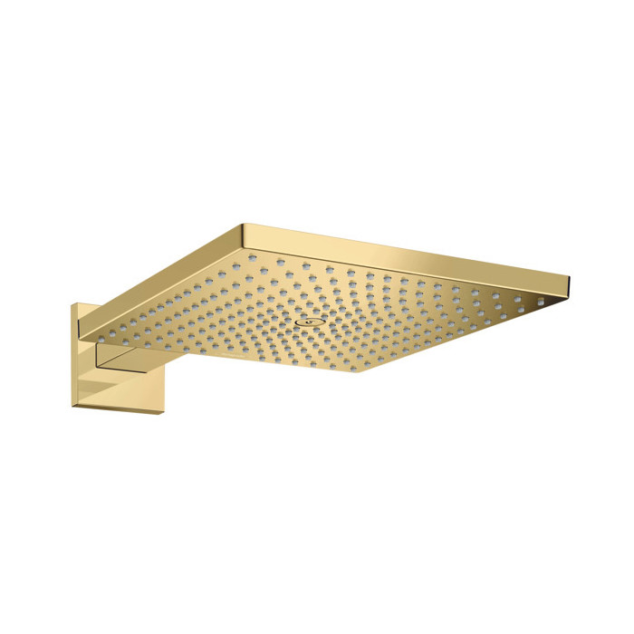 Верхний душ Hansgrohe Raindance E 26238990