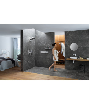 Смеситель Hansgrohe RainSelect FS 15382700