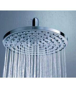 Верхний душ Hansgrohe Raindance 26601000