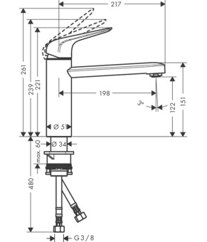 Смеситель кухонный Hansgrohe Focus M4221-H120 71805000