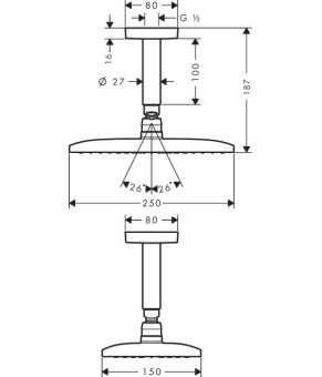 Верхний душ Hansgrohe Raindance E 27380000