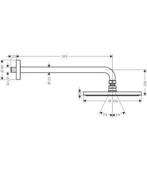 Верхний душ Hansgrohe Raindance S 27607000