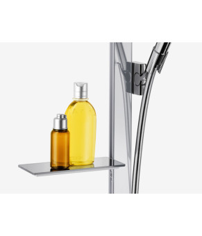 Душевой набор Hansgrohe Raindance Select S 27646000