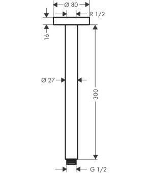 Потолочное подсоединение Hansgrohe 27389340