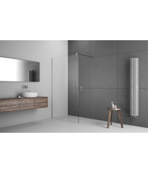 Душевая перегородка 10 мм Radaway Modo X II 120 389324-01-01