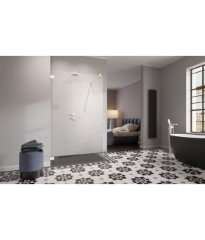 Душевая перегородка Radaway Essenza Pro White Walk-in 55 10103055-04-01