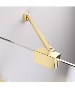 Шторка для ванни Radaway Essenza Pro Gold PNJ II 80 10101080-09-01