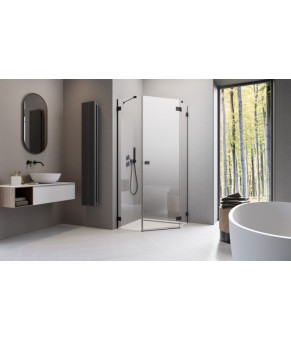 Боковые стенки Radaway Essenza Pro Black PTJ 10100900-01-01
