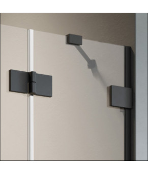 Частина кабіни Radaway Essenza Pro Black PDD 90 10095090-54-01