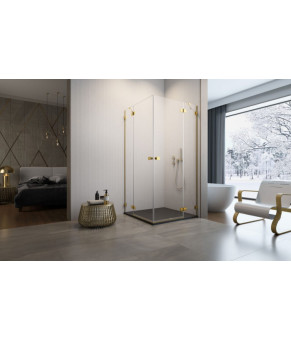 Часть кабины Radaway Essenza Pro Gold KDD 100 10096100-09-01