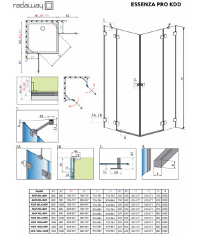 Часть кабины Radaway Essenza Pro Gold KDD 100 10096100-09-01