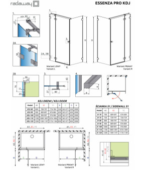 Боковая стенка Radaway Essenza Pro Gold S1 110 10098110-01-01