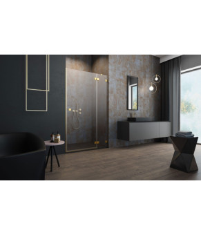Душевые двери Radaway Essenza Pro Gold DWJ 120 10099120-09-01