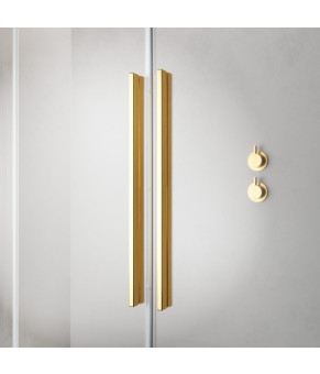 Створка дверей подвижная Radaway Furo Gold DWJ 10107522-09-01