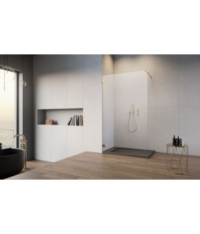 Душевая перегородка Radaway Essenza Pro 8 Gold Walk-In 145 1012145-09-01