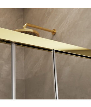Душевые двери Radaway Idea Gold DWJ 140 387018-09-01