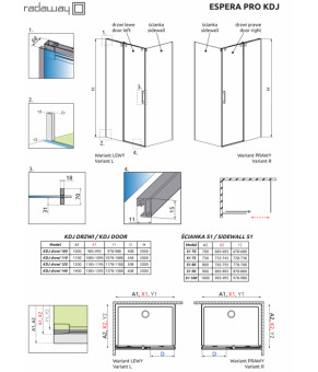 Створка дверей подвижная Radaway Espera Pro KDJ 10090110-01-01