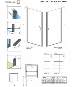 Душевые двери Radaway Nes Black DWJ I Factory 100 10026100-54-55