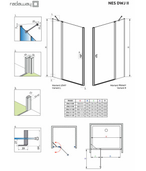 Душевые двери Radaway Nes Black DWJ II 110 10036110-54-01
