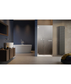 Душевые двери Radaway Arta QL DWJ I 10102503-03-01