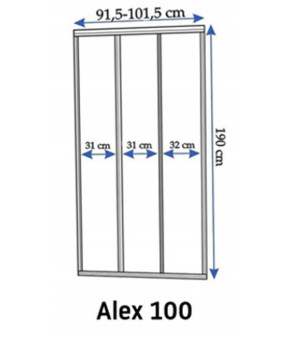 Душевая дверь Rea Alex 100 REA-K0546