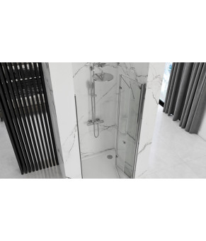 Душевая дверь Rea Best 100 REA-K1305