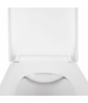Унитаз подвесной Qtap Tern Rimless с сиденьем Soft-Close (QT1733052ERW)
