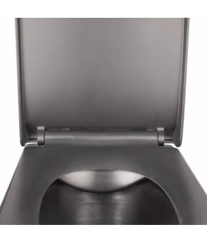 Унитаз подвесной Qtap Tern безободковый с сиденьем Slim Soft-close QT1733052ERMB