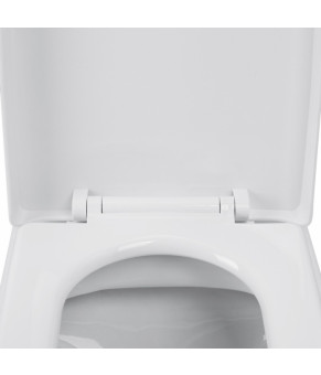 Унитаз-компакт Qtap Missel с сиденьем Soft-close QT0222599W