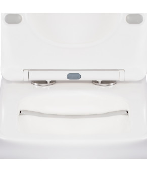 Унитаз-компакт Qtap Tern безободковый с сиденьем Soft-close QT17222093ARW